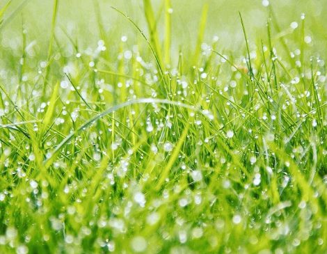 Turf Goes Down at Aykley View