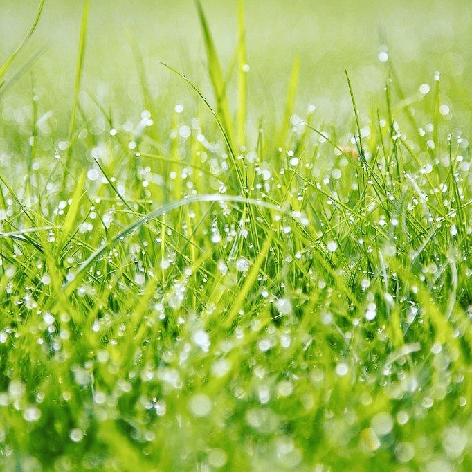 Turf Goes Down at Aykley View
