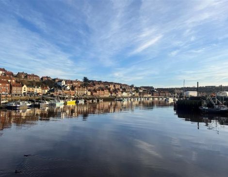 On the Road with Our Team!