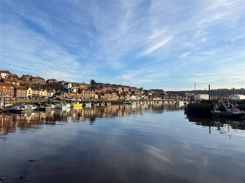 On the Road with Our Team!