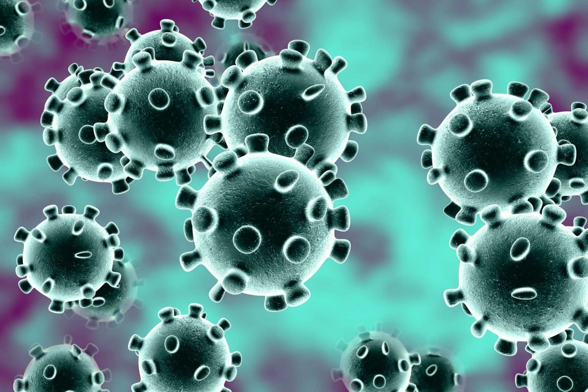 Coronavirus update – November 2020