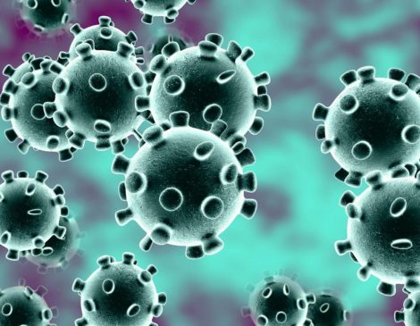 Coronavirus update – November 2020