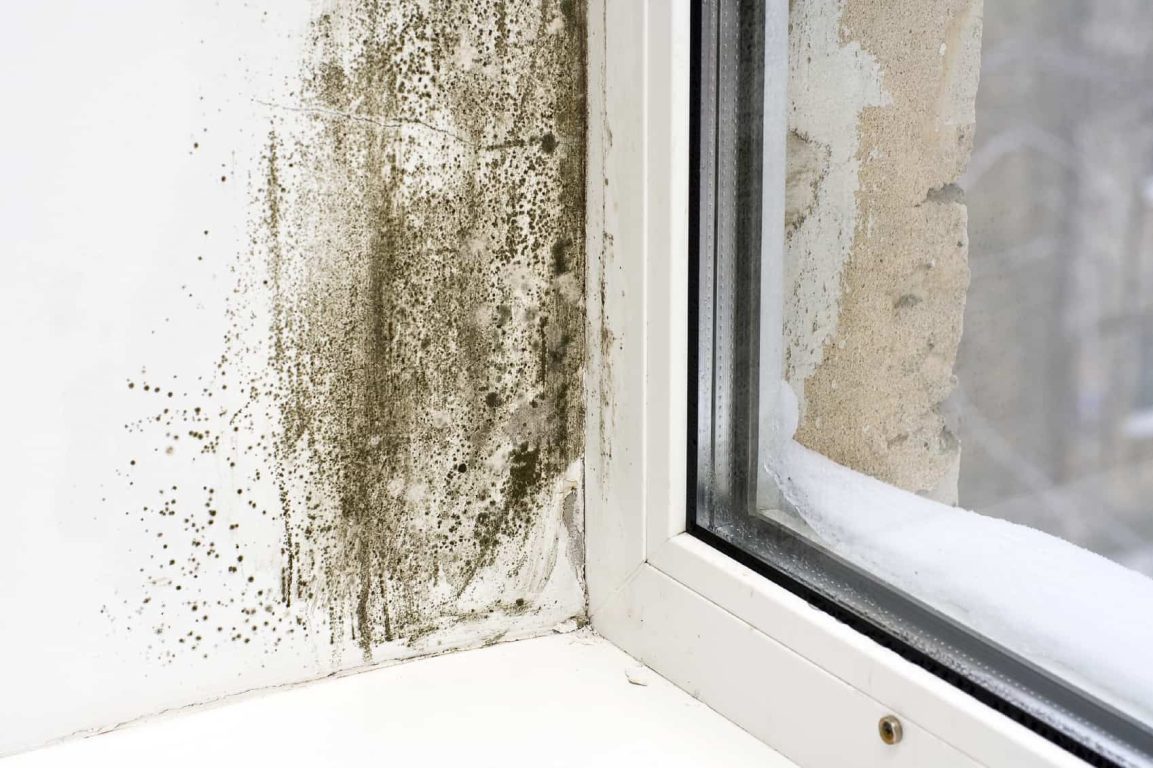Mould Tips & Tricks
